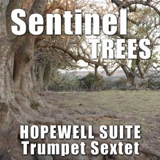 Sentinel Trees